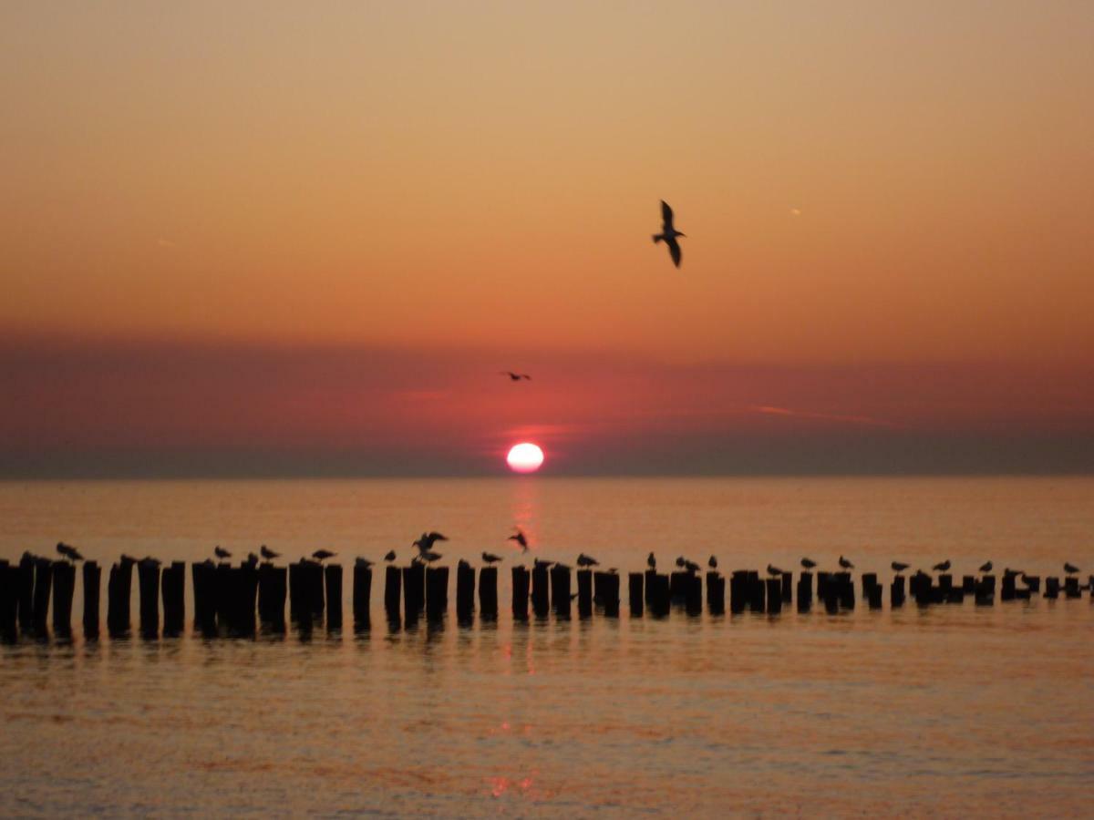 Gezellige Vakantiewoning Dichtbij Centrum Domburg Do20 ภายนอก รูปภาพ